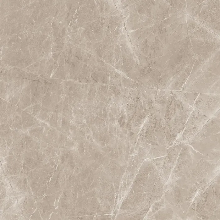 Frappuccino Taupe Polished 120x120